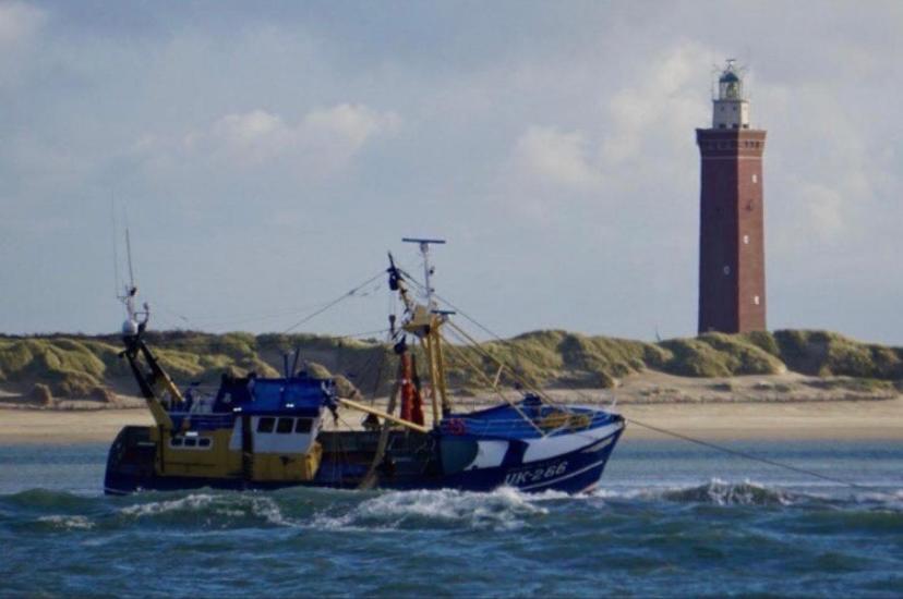 Caravan Stadstuin Goedereede Let Op De Badkamer Moet Met Andere Gasten Gedeeld Worden Екстер'єр фото